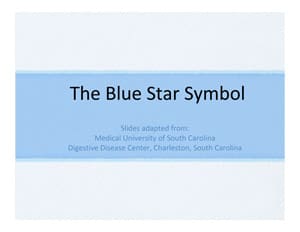 Blue Star Overview