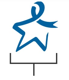 Blue Star Sizing Example 3